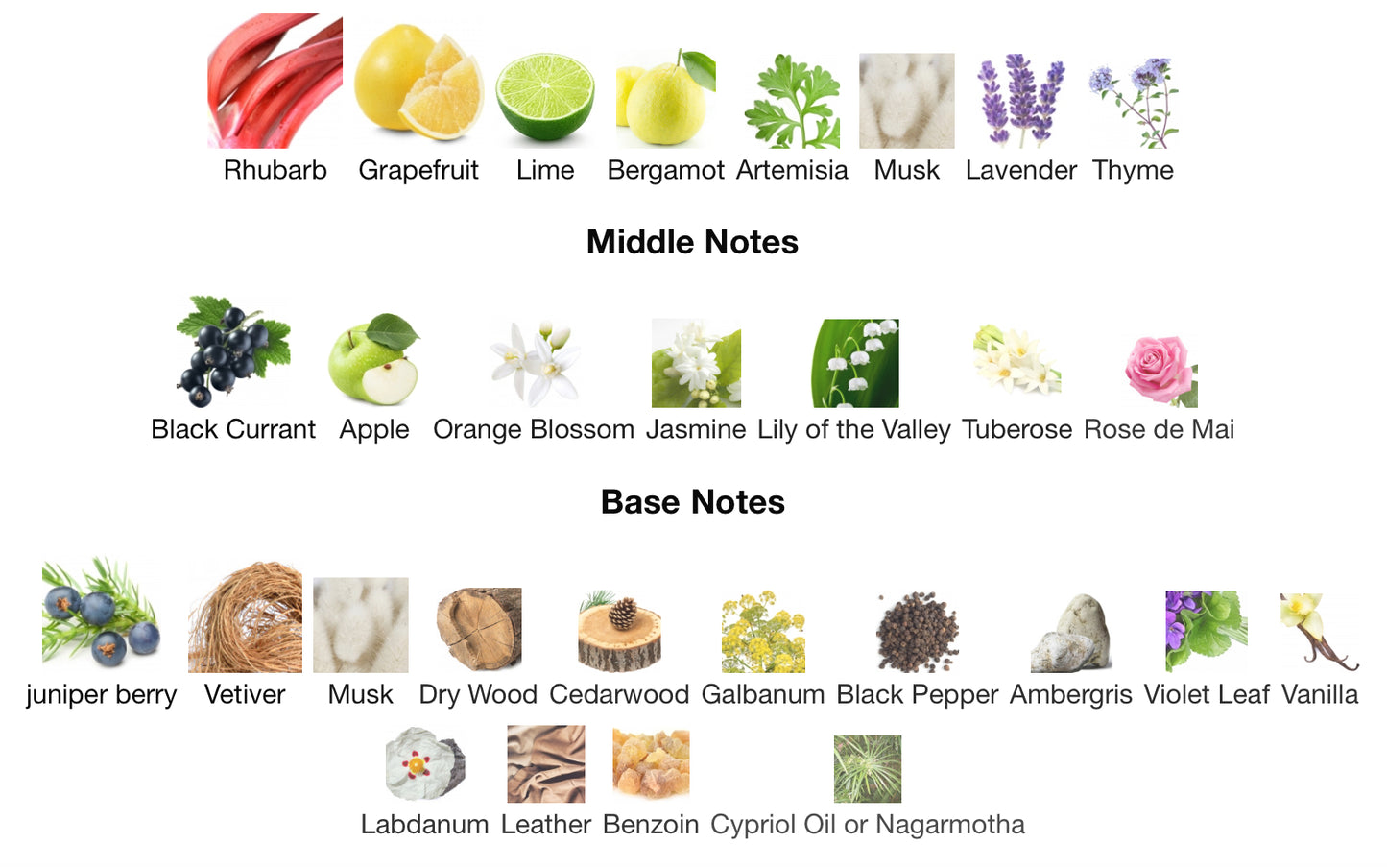 Roja Elysium Eau Intense