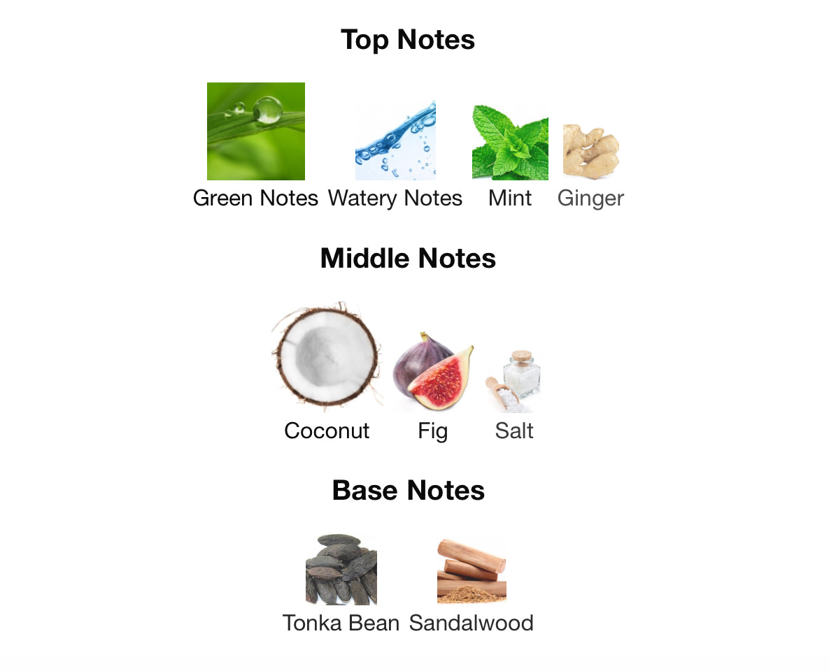 Jean Paul Gaultier’s Le Beau Paradise Garden