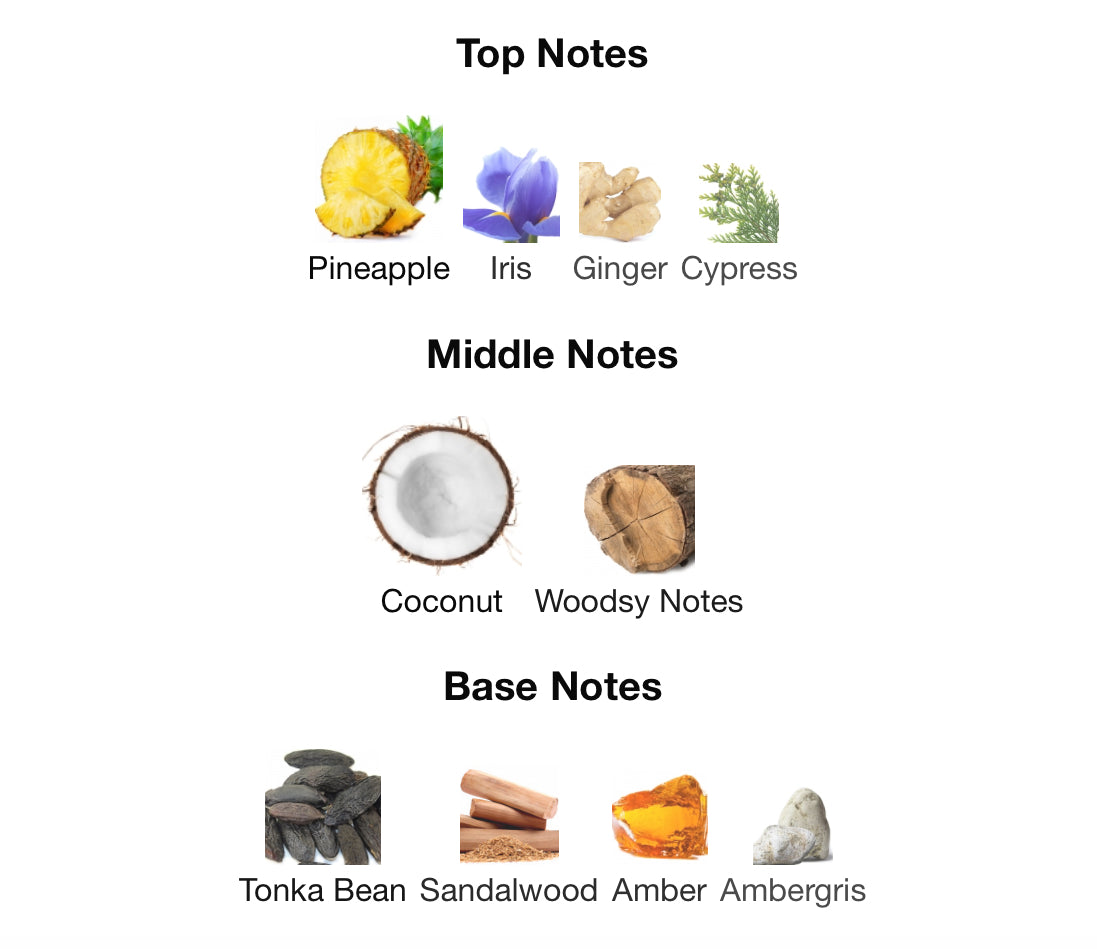 Jean Paul Gaultier’s Le Beau Le Parfum