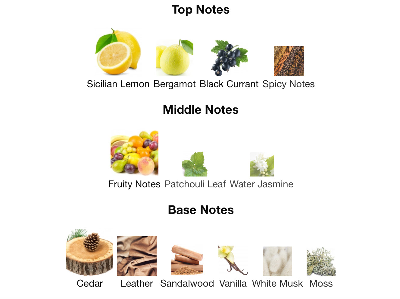 Mancera Cedrat Boise