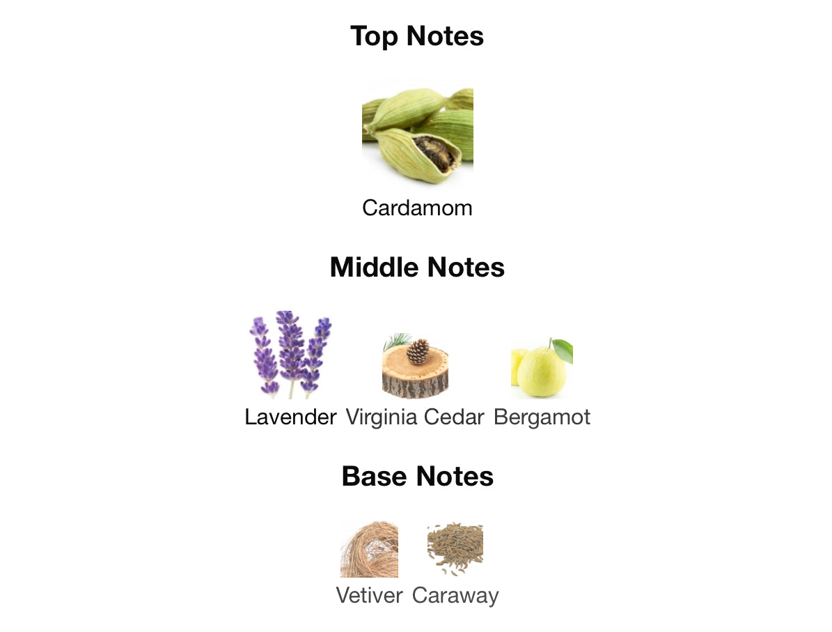 Yves Saint Laurent La Nuit de l’homme